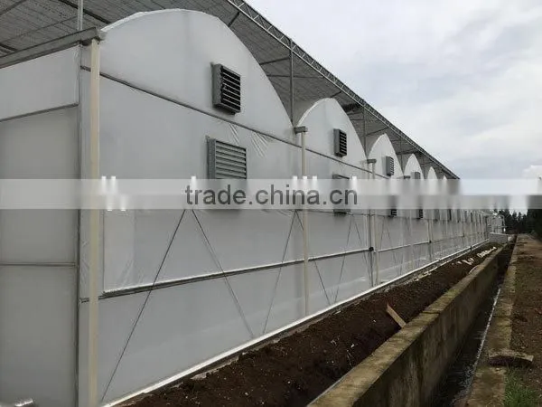 Professional Manufacturer Galvanized Steel Frame Greenhouse photo-2