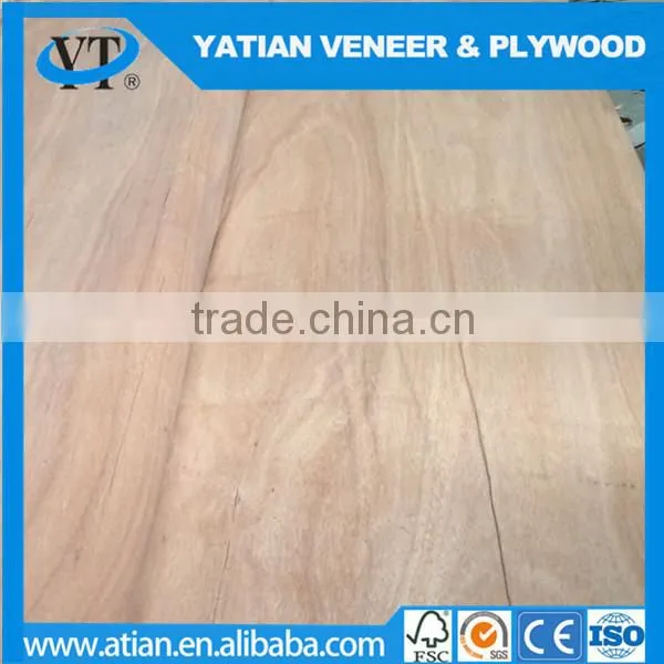 Grade ABCD 0.25-0.30mm Plywood Water Gum Veneer photo-2