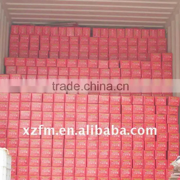 Tomato Paste in Pouch