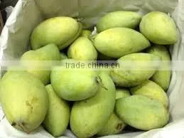 Green Mangoes photo-2