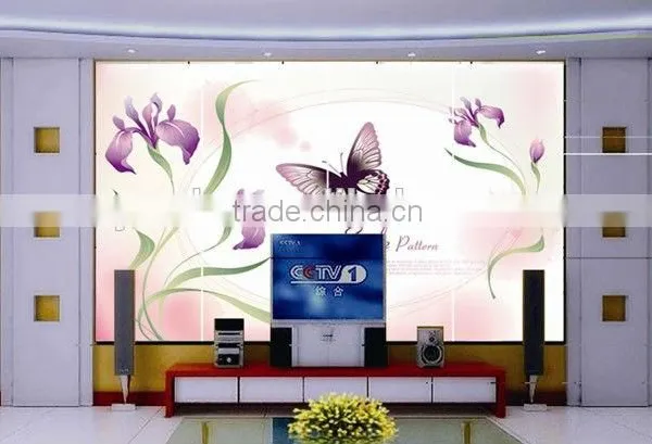 Affordable Wall Digital Printer YD-2513 3d Inkjet Printing Machine With Wide Format photo-2