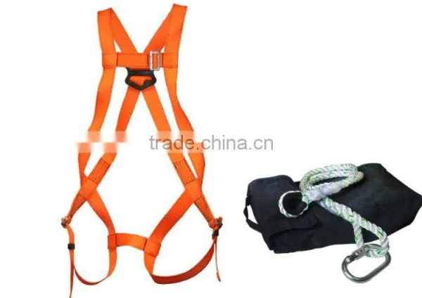 BODY HARNESS