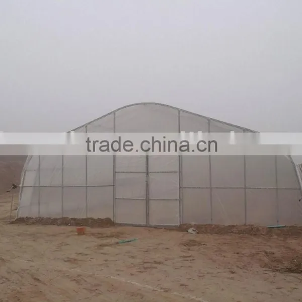 Tunnel Plastic Greenhouse photo-2