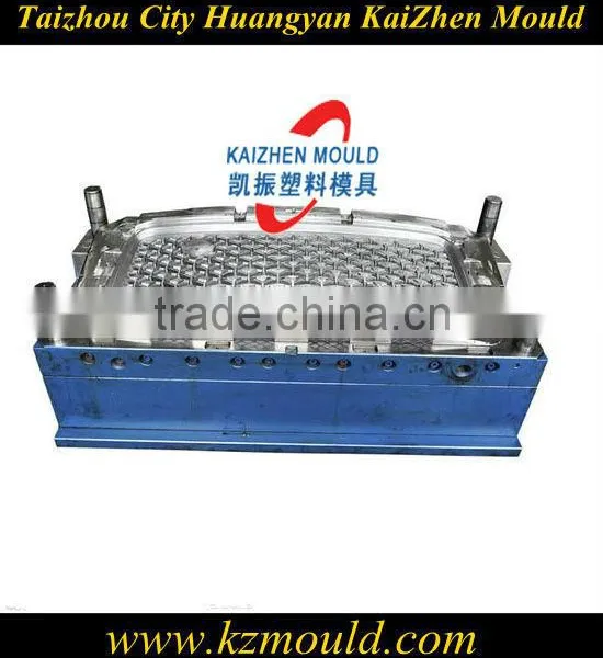 Plastic Auto Grille Mould photo-2