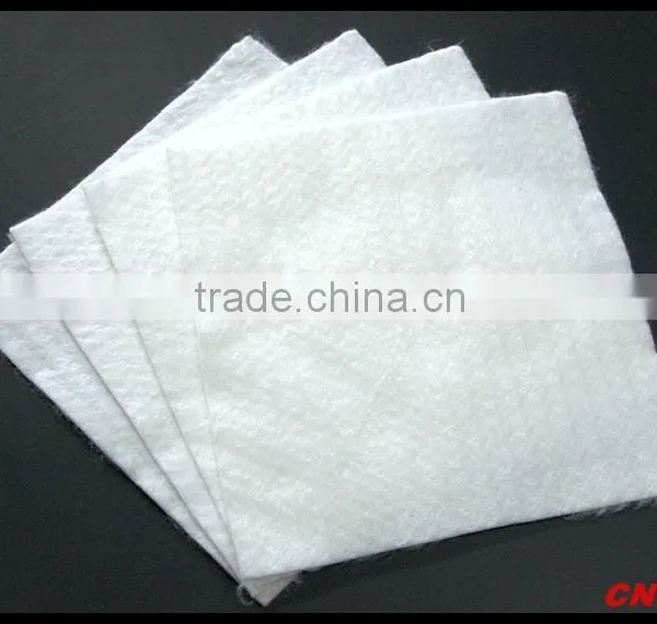 Geotextiles-CYBDXYcatherinezhang photo-4