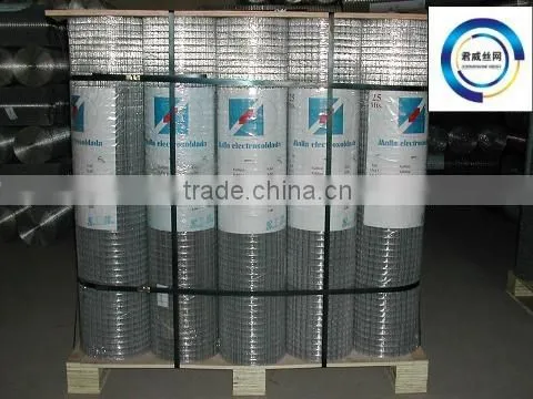 Zinc Coated&PVC Welded Wire Mesh photo-3