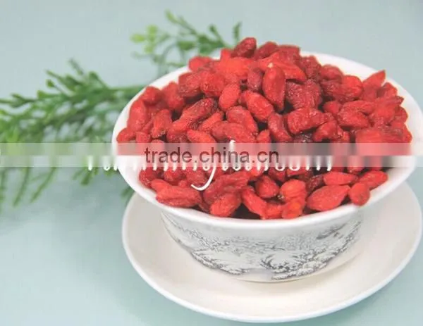 China Dried Fresh Goji Berry photo-6