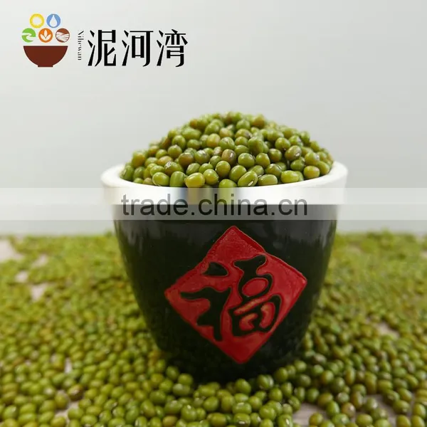 Green Mung Bean photo-2