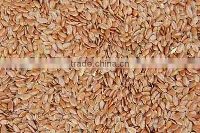 FLAX SEED