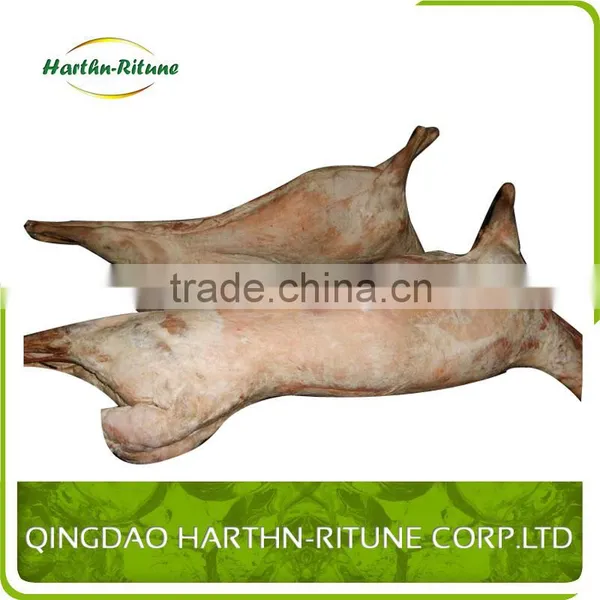 Frozen Halal Goat Carcass photo-6
