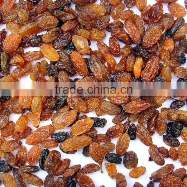 China Dried Sultana Raisin photo-5