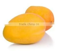 Alphonso Mango Slices In Syrup photo-3
