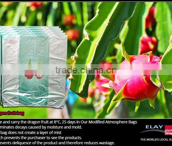 Dragon Fruit Bag