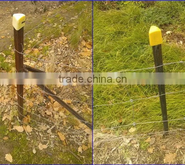 Hot Dip Galvanized and Paint Dark Green Steel Y Fence Post for Middle East and Israel Market photo-6
