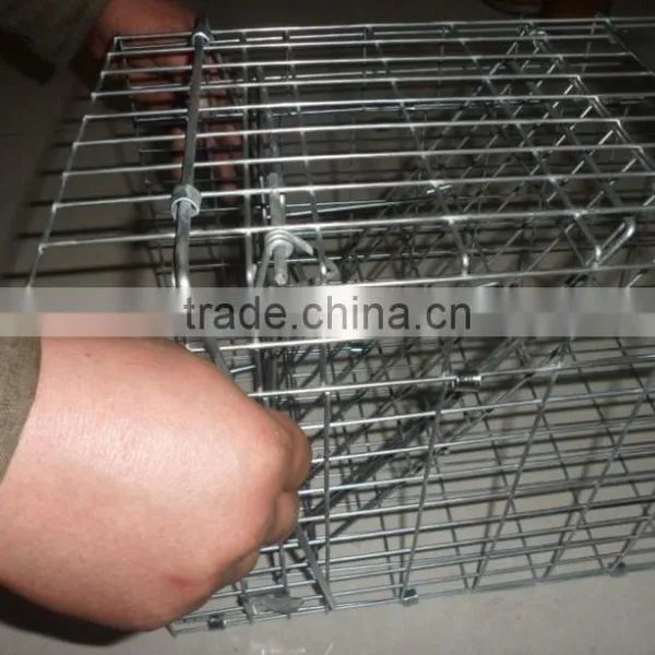 2015 the Most Popular Live Animal Traps (high Quality Wit Big Supply) photo-4