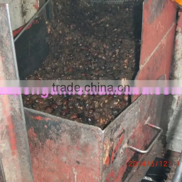 30tph Palm Oil Mill photo-5