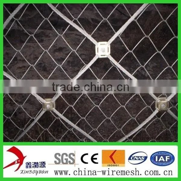 Anping China Supplier Flexible Ring Network/ Passive Slope Netting/flexible Metal Mesh Netting photo-4