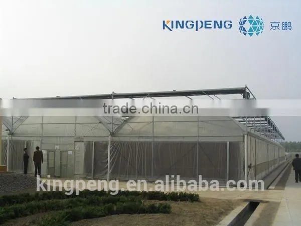 Solar Arch Greenhouse for Vegetables photo-3