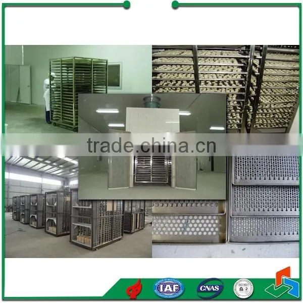 Fruit and Vegetable Tunnel Drying Machine Equipment photo-4