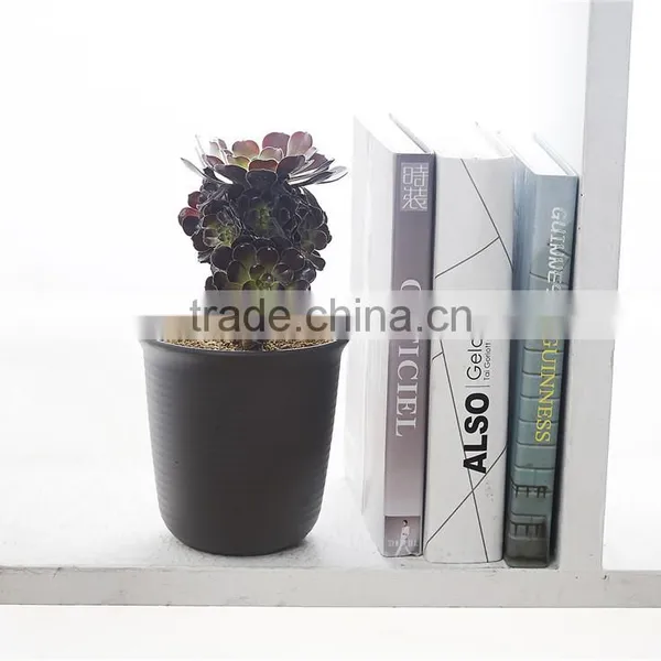 Plastic Round Resin Succulent Plant Pot/Cactus Plant Pot Flower Pot photo-5