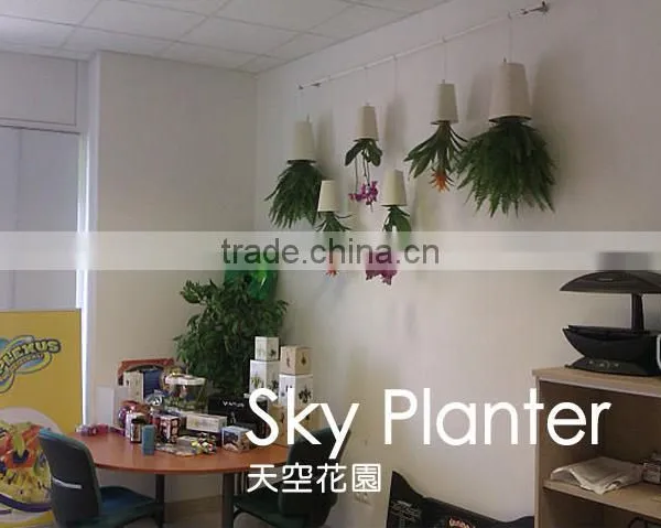 CT-457 Hot Sell Sky Planter Plastic Flower Pot Supplier From China 13.5x13.5x19cm photo-4