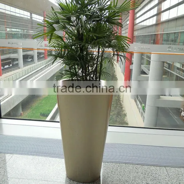 Gold Fiberglass Planter photo-3