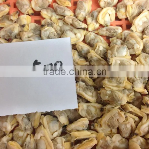 High Quality Frozen Short Necked Clam Meat photo-3