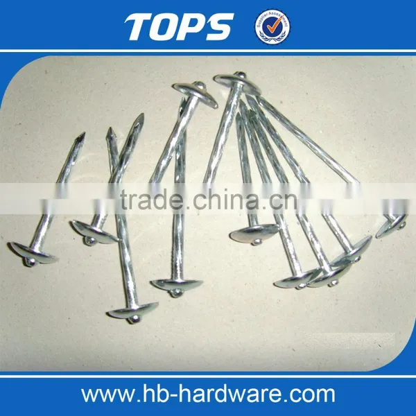 Umbrella Roofing Nails/coil Roofing Nails