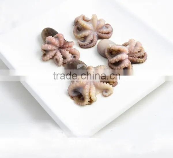 Fresh Frozen Octopus Cleaned Wholesale Food photo-2