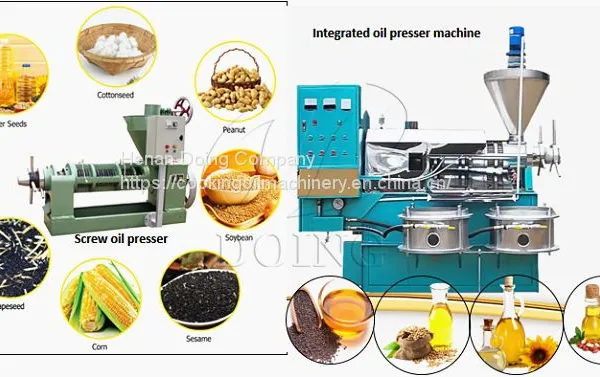 Peanut Oil Extraction Machine photo-2