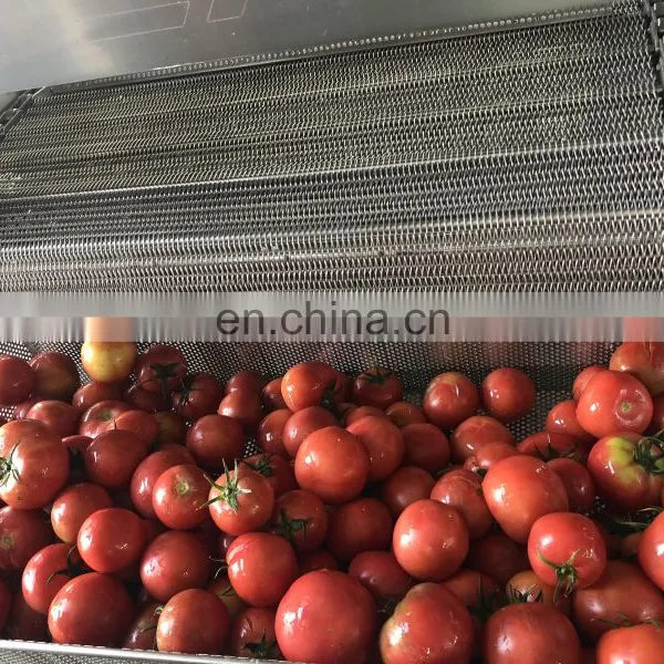 Industry Fruit and Vegetable Washer Cleaning Machine Vegetable Washer Machine photo-4