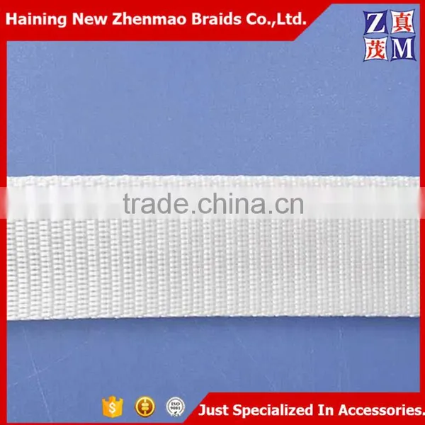 2016 Hot Sell Garments Accessories Webbing PP Tape photo-2