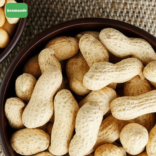 Wholesale Lot Uniform Inshell Count Whole Groundnuts 13/15 for Retail Packing photo-2