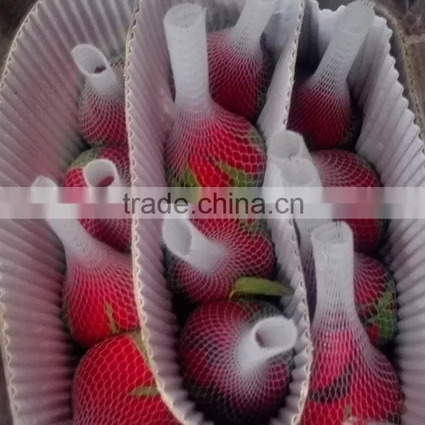 Color Carola Table Centerpieces Single Rose photo-6