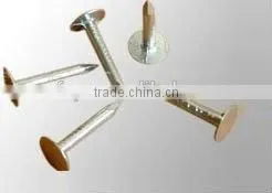 First-class Clout Nails With Competitive Price photo-5