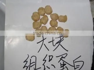 Full Automatic Textured Vegetarian Soya Beans Protein Process Line photo-5