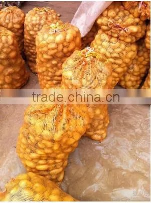 pp Mesh Bag for Onion, Vegetable Mesh Bag Wholesale,mesh Bag for Oranges photo-5