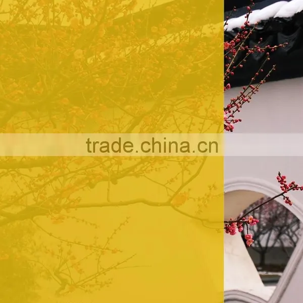 Straw Yellow Color Window Tinting Film, Glass PET Film photo-5
