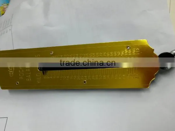 Crane Digital What is Spring Scale photo-2