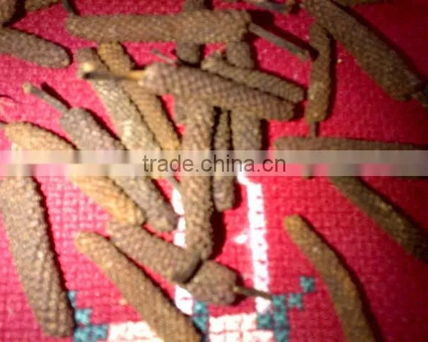 LONG BLACK PEPPER