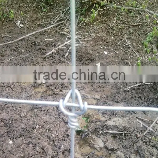 2016 Hot Sale Made in China Cattle/goat/ranch Fence photo-3