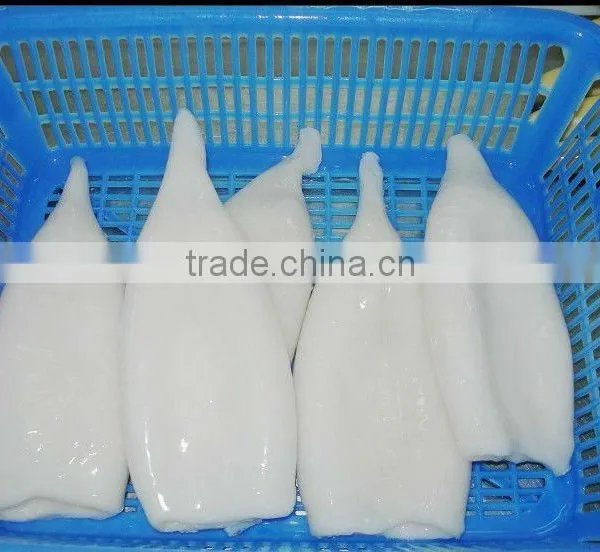 Frozen Todarodes Squid Tube