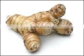 Galangal Powder
