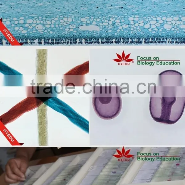 200kinds Prepared Slides , Mixed Glass Prepared Slides photo-3