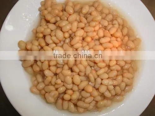 Canned Red Kidney Beans in Brine photo-4