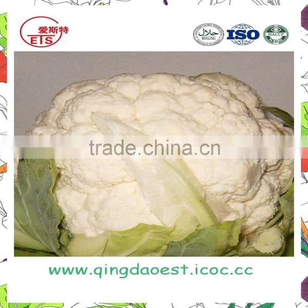 Organic Green Vegetables Fresh Cauliflower From Shandong Province photo-2
