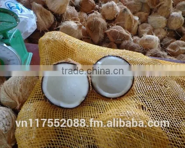 Semi Husk Mature Coconut