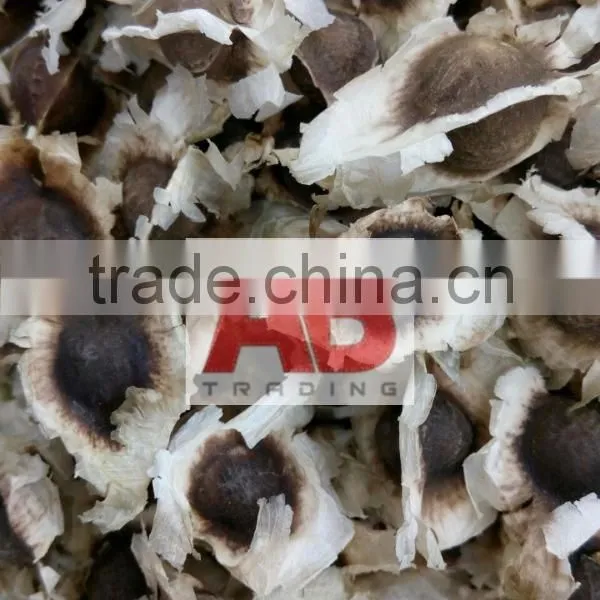 Organic Moringa Seeds/ Moringa Tea Cut Leaves/ Moringa Powder photo-4
