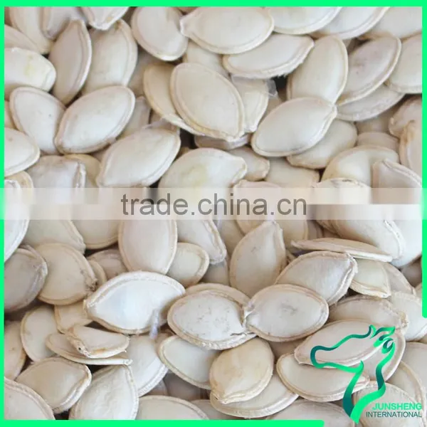 Shelling Pumpkin Seeds Vegetable Seeds photo-2