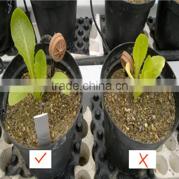 A Great Fertilizer TE Trace Element Fertilizer photo-6
